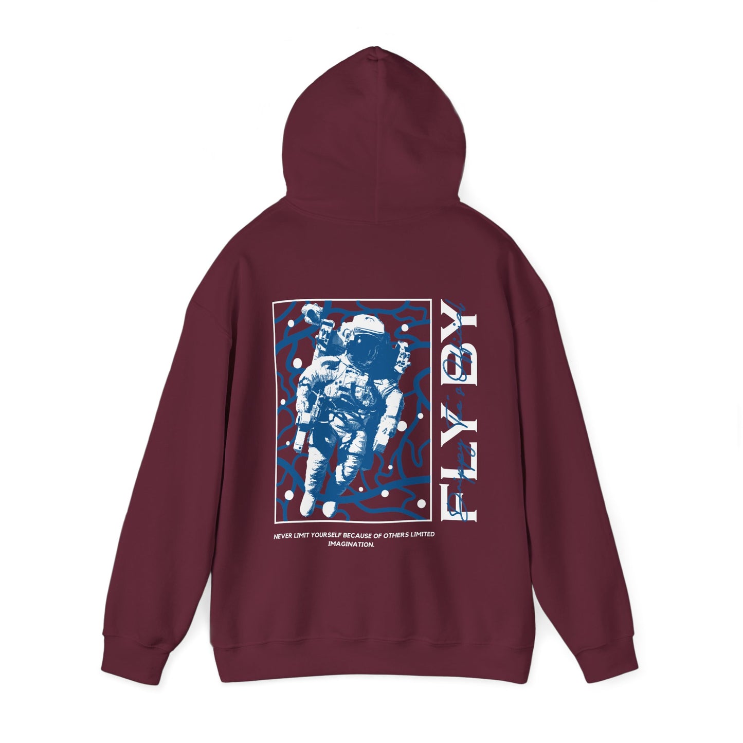 DTO Fly By Astronaut Unisex Heavy Blend™ Hooded Sweatshirt