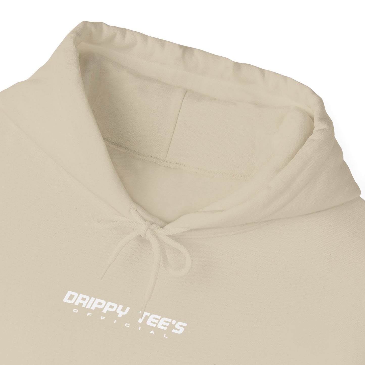 DTO Never Give Up Unisex Heavy Blend™ Hooded Sweatshirt