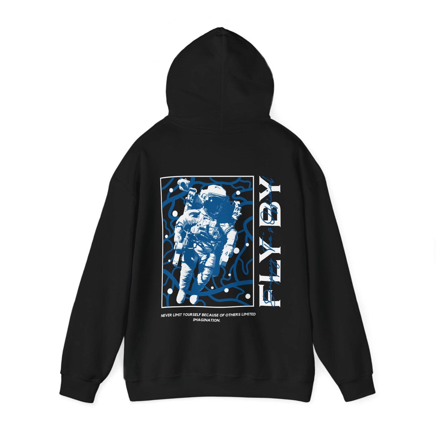 DTO Fly By Astronaut Unisex Heavy Blend™ Hooded Sweatshirt