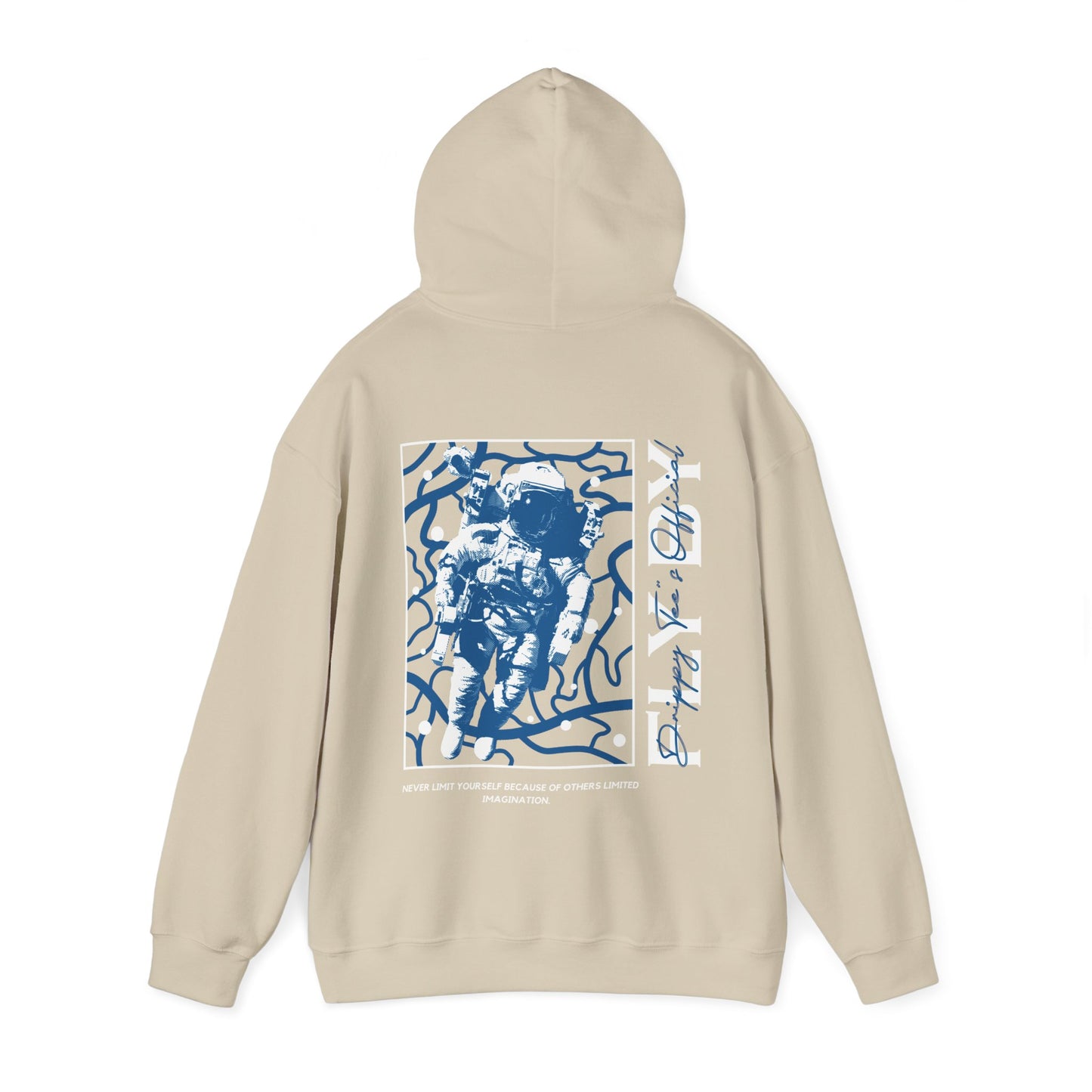 DTO Fly By Astronaut Unisex Heavy Blend™ Hooded Sweatshirt