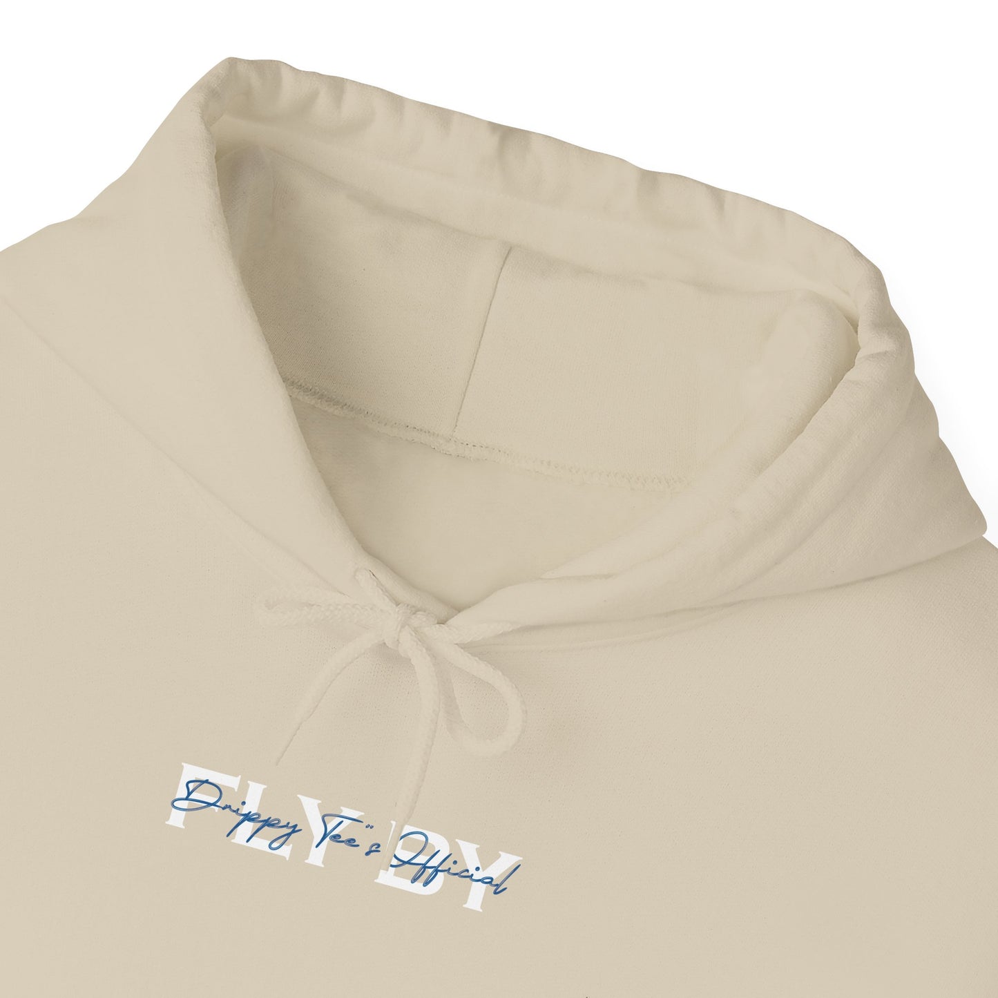DTO Fly By Astronaut Unisex Heavy Blend™ Hooded Sweatshirt
