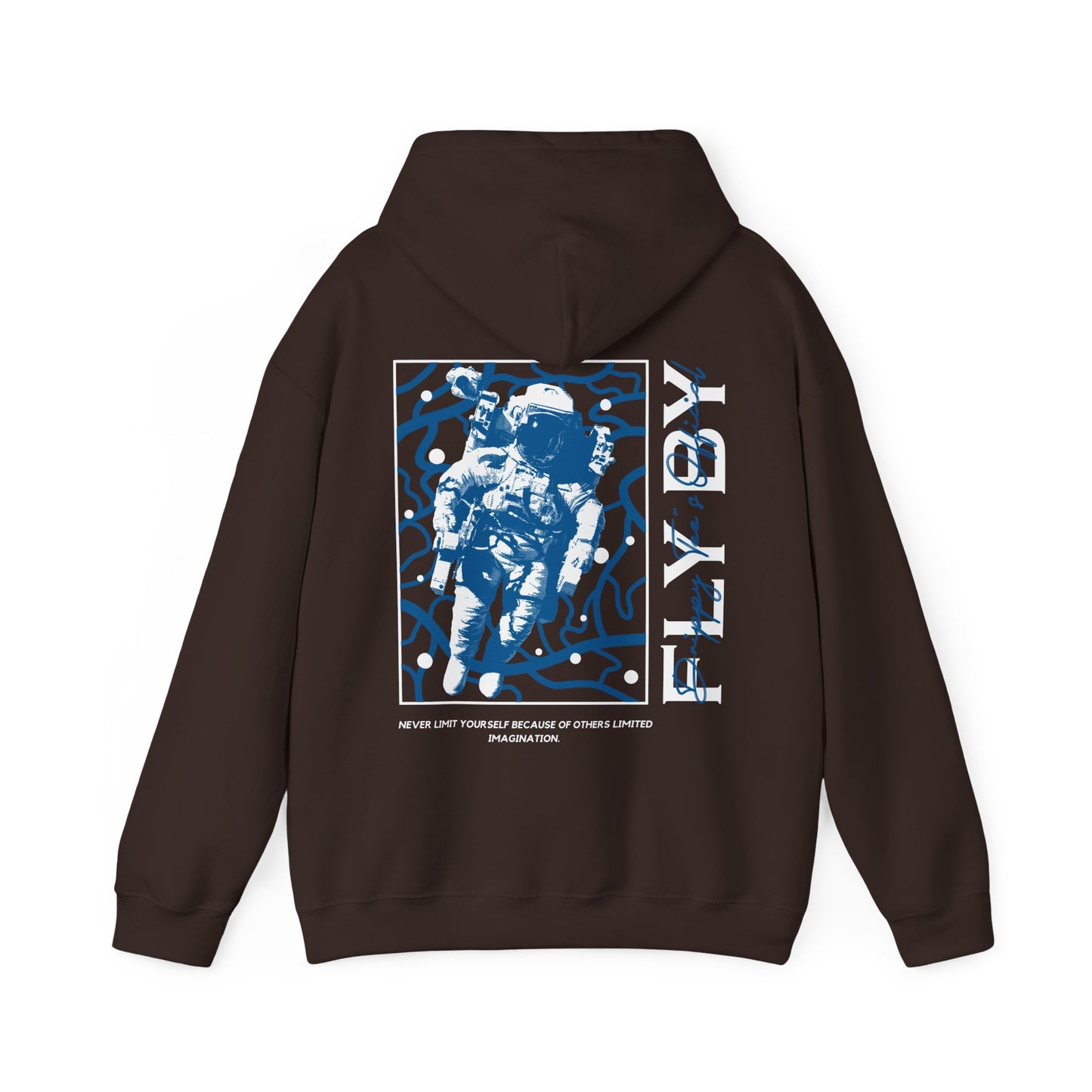 DTO Fly By Astronaut Unisex Heavy Blend™ Hooded Sweatshirt