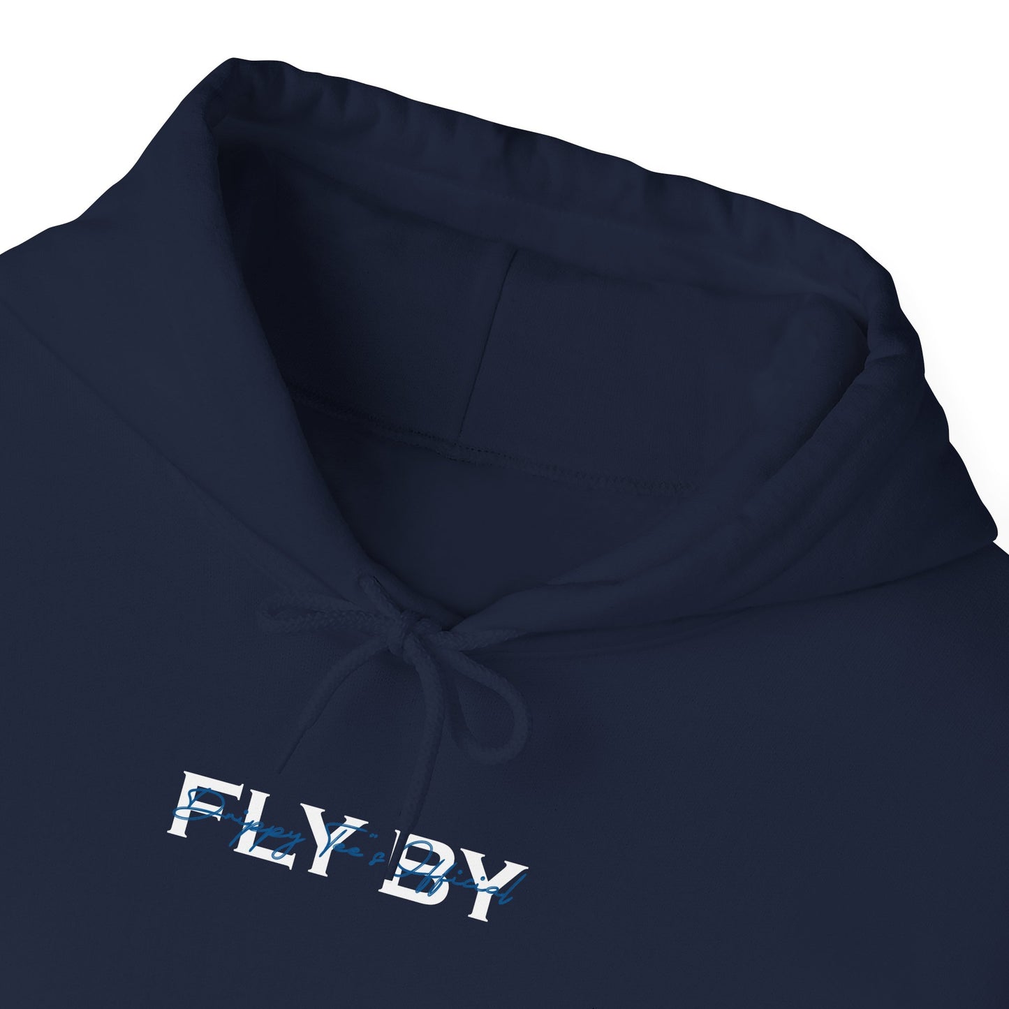 DTO Fly By Astronaut Unisex Heavy Blend™ Hooded Sweatshirt