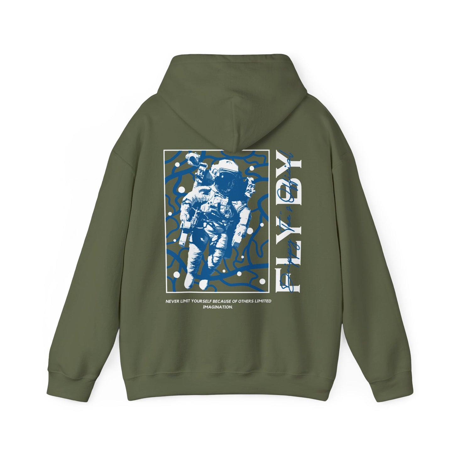 DTO Fly By Astronaut Unisex Heavy Blend™ Hooded Sweatshirt