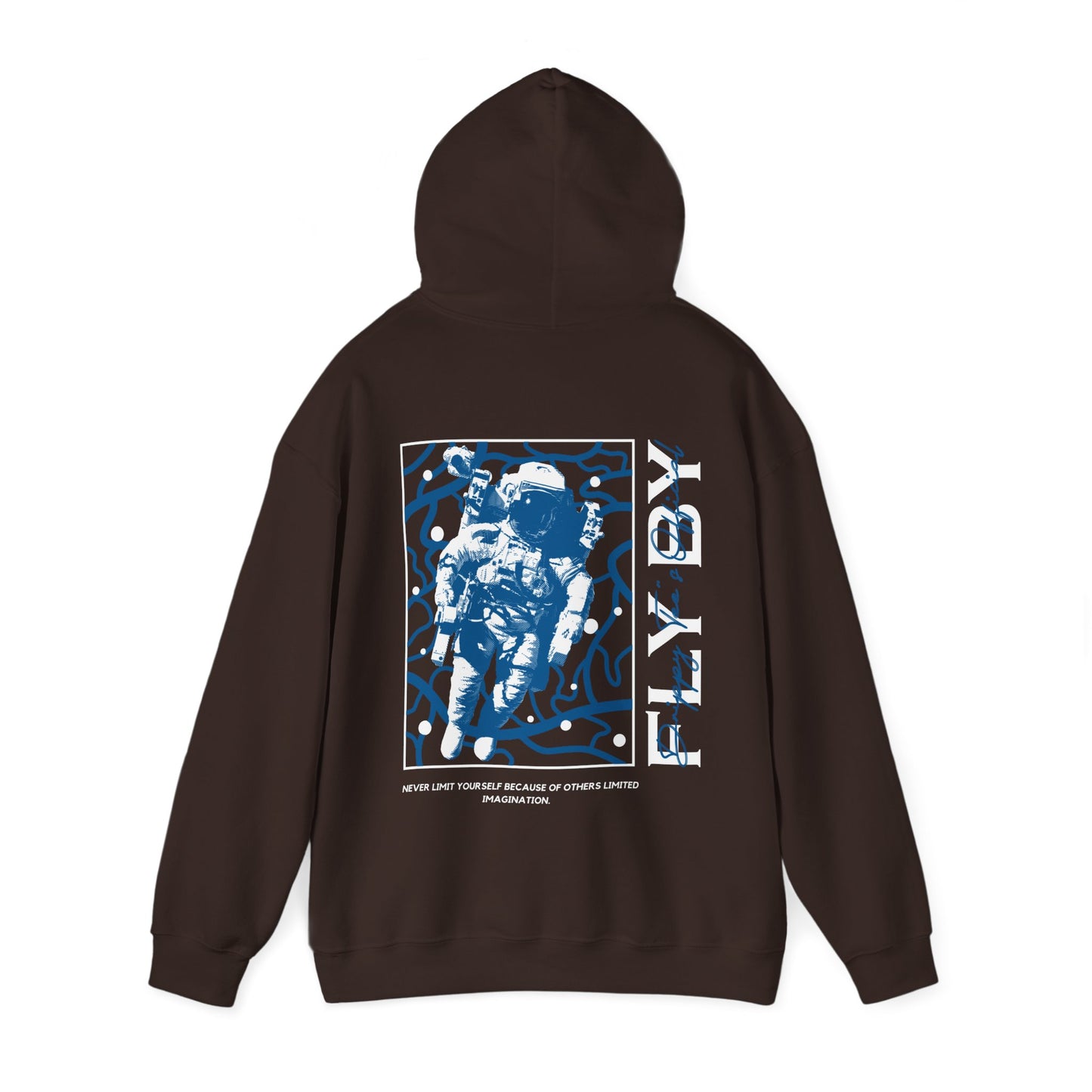DTO Fly By Astronaut Unisex Heavy Blend™ Hooded Sweatshirt