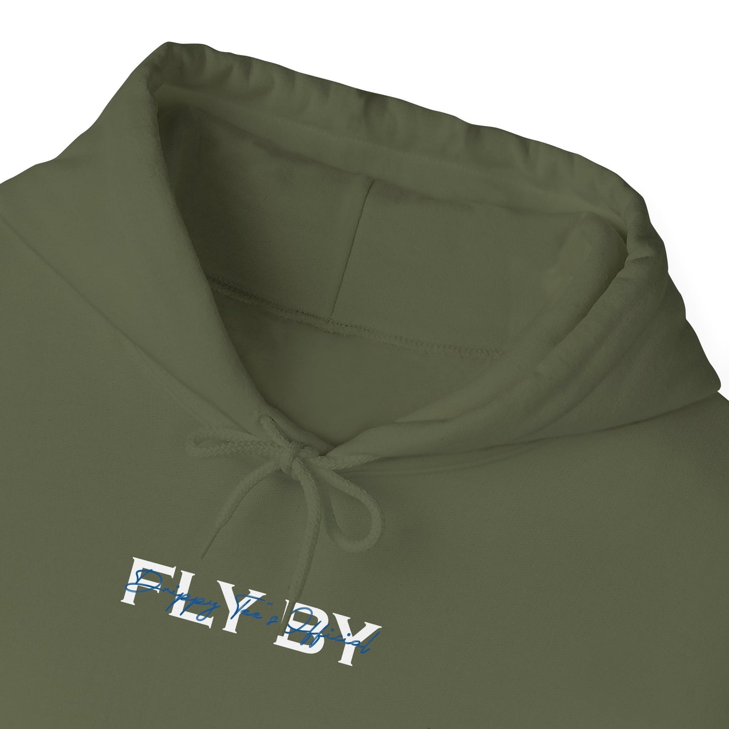 DTO Fly By Astronaut Unisex Heavy Blend™ Hooded Sweatshirt