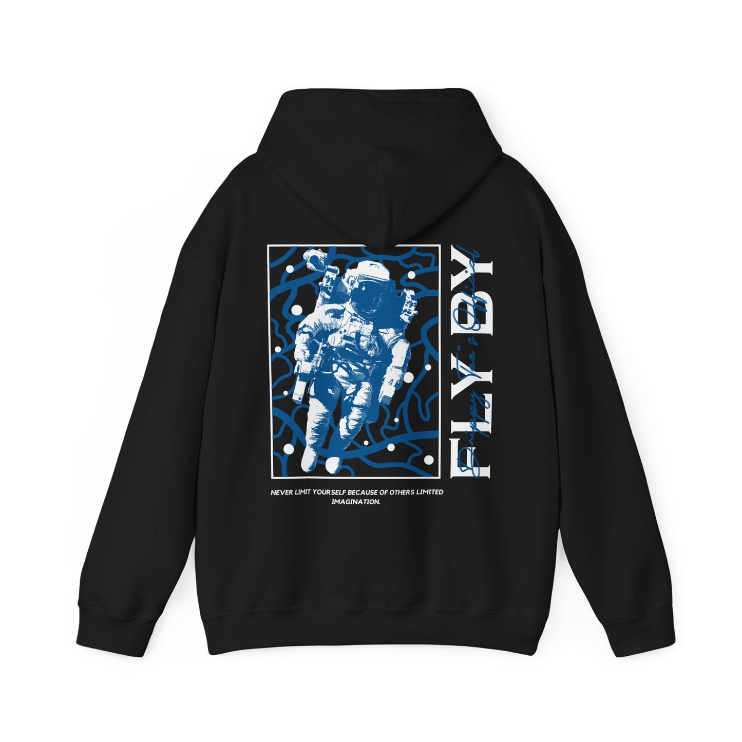 DTO Fly By Astronaut Unisex Heavy Blend™ Hooded Sweatshirt
