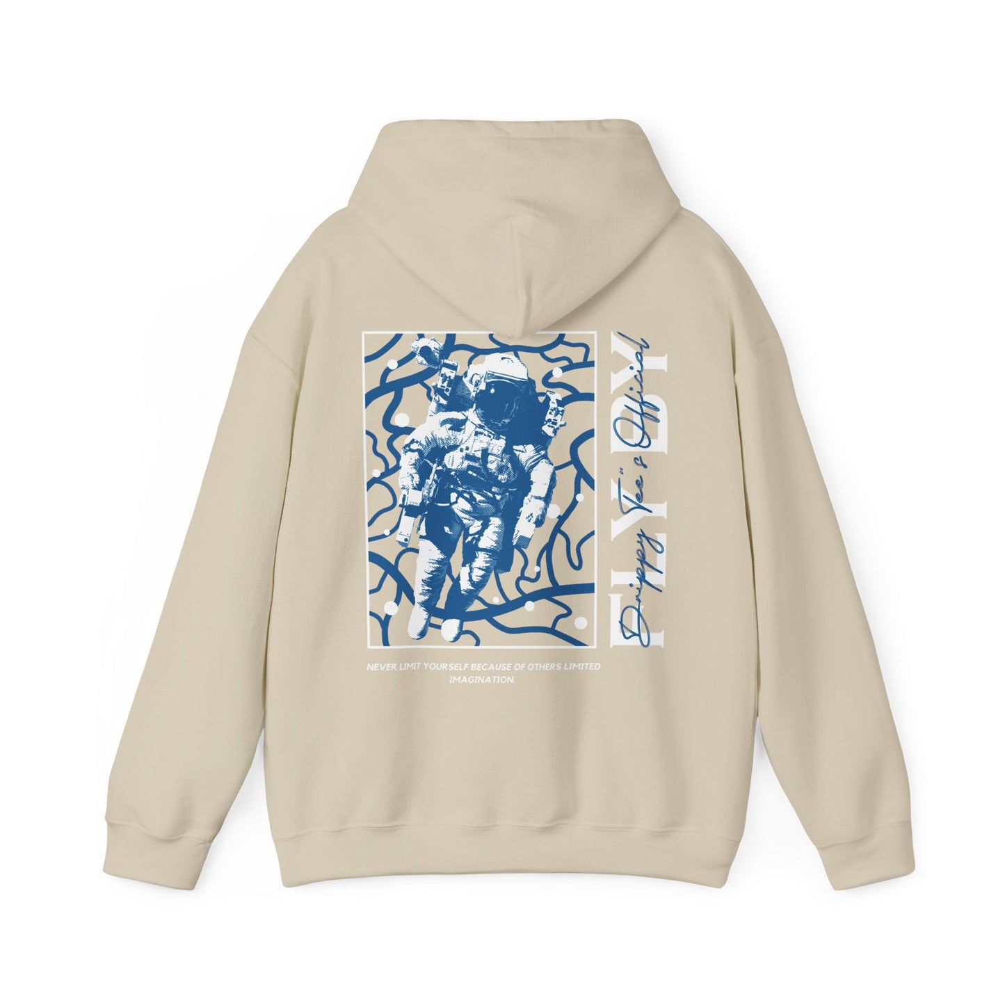 DTO Fly By Astronaut Unisex Heavy Blend™ Hooded Sweatshirt
