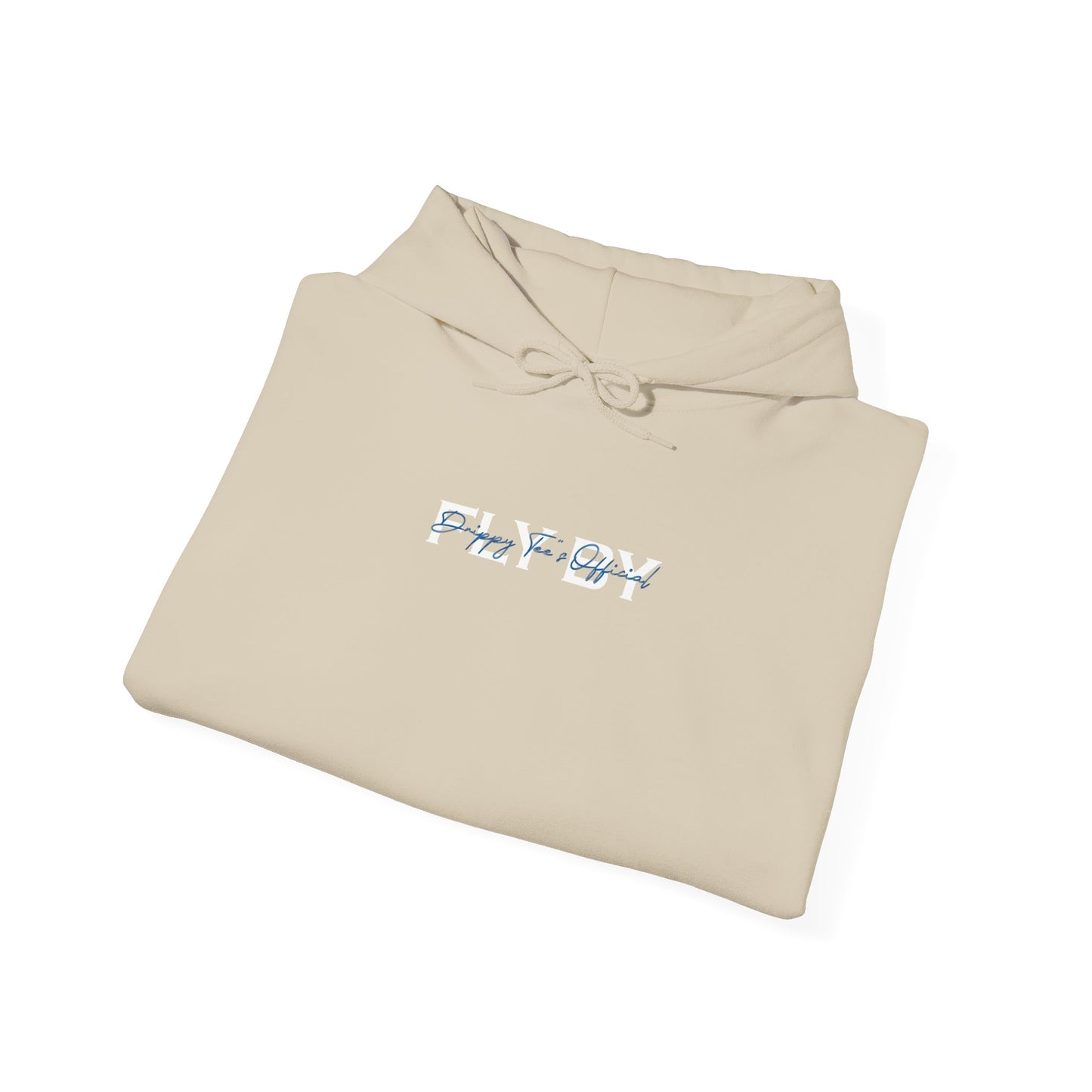 DTO Fly By Astronaut Unisex Heavy Blend™ Hooded Sweatshirt