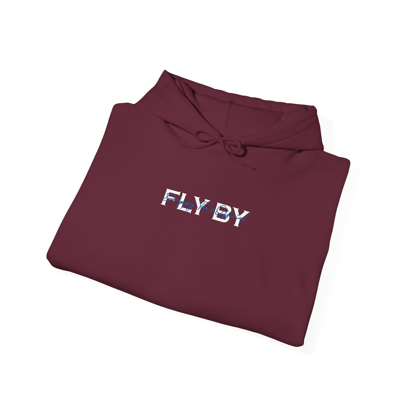 DTO Fly By Astronaut Unisex Heavy Blend™ Hooded Sweatshirt