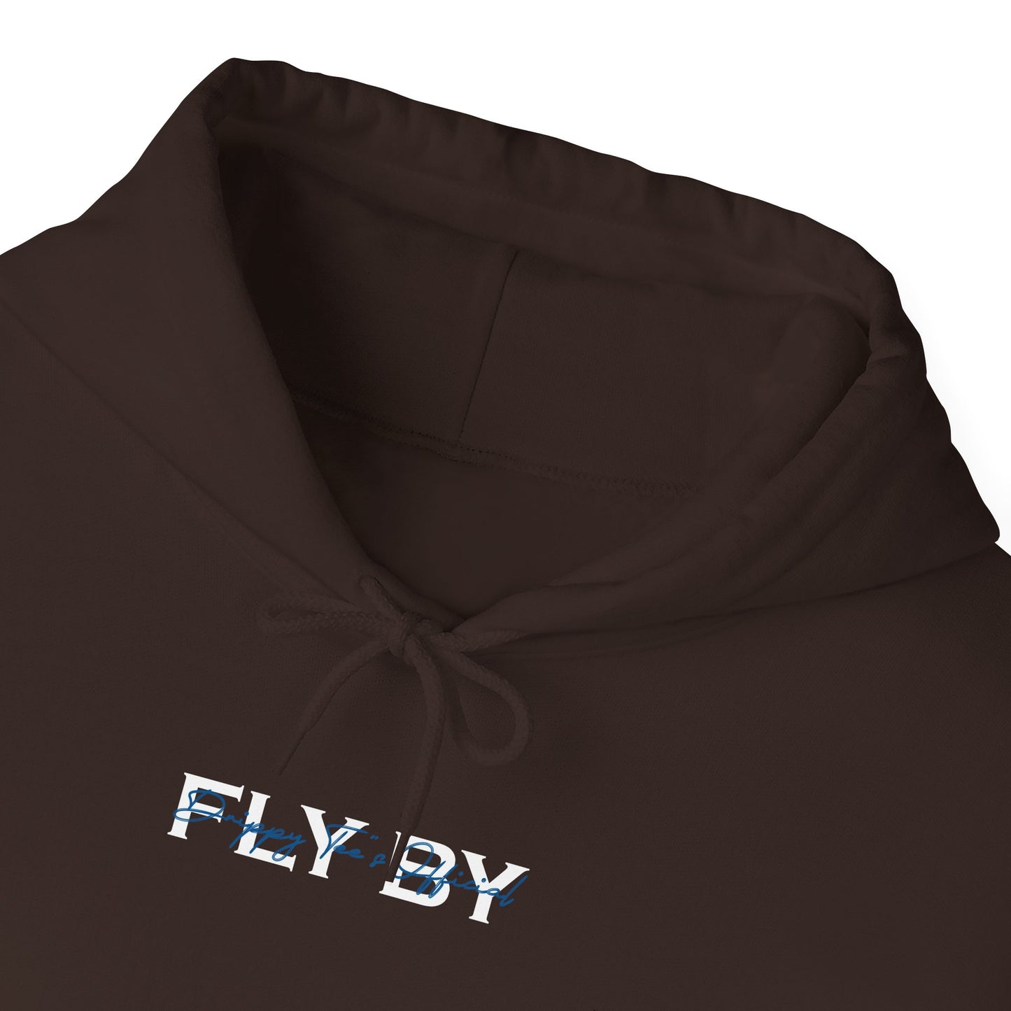 DTO Fly By Astronaut Unisex Heavy Blend™ Hooded Sweatshirt