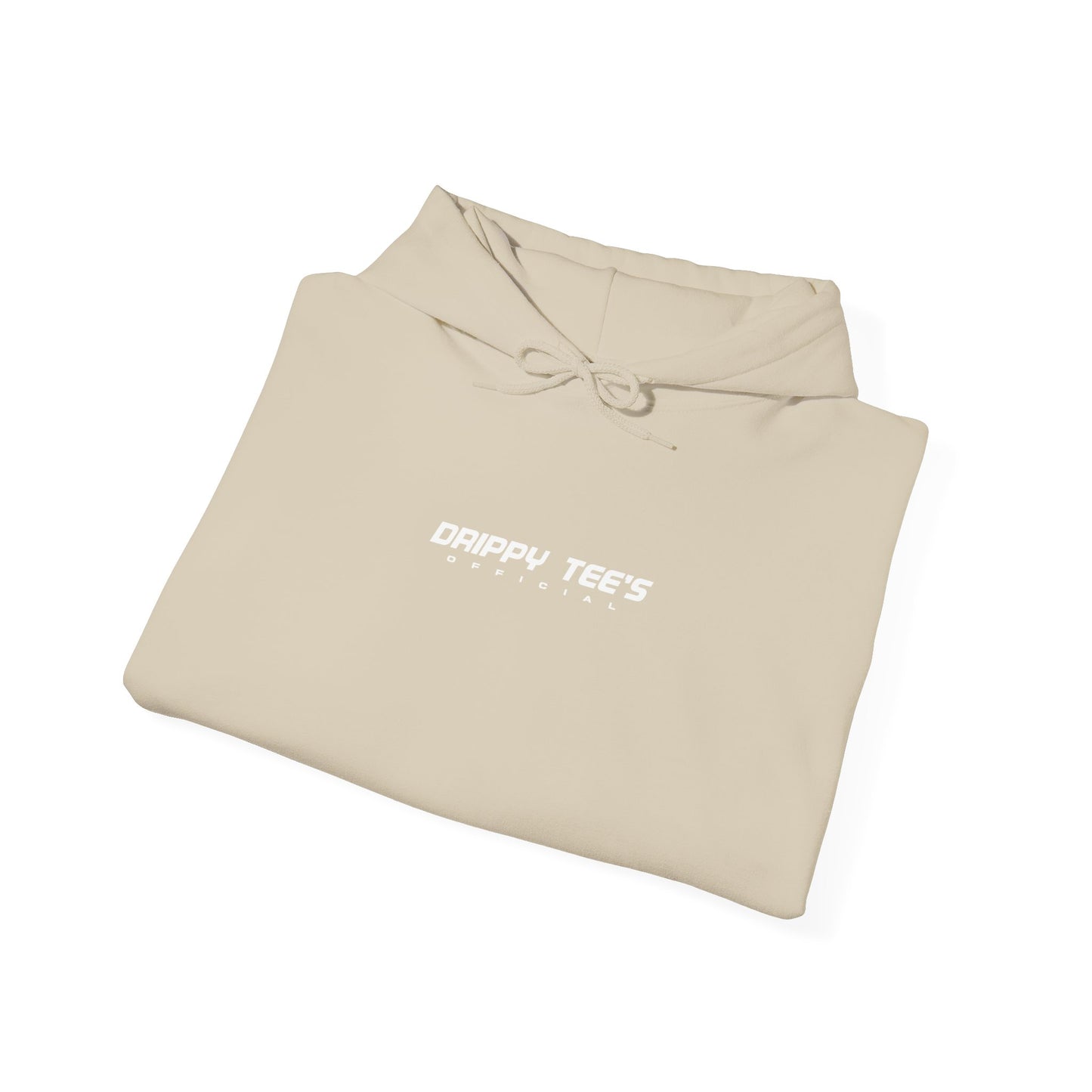 DTO Never Give Up Unisex Heavy Blend™ Hooded Sweatshirt
