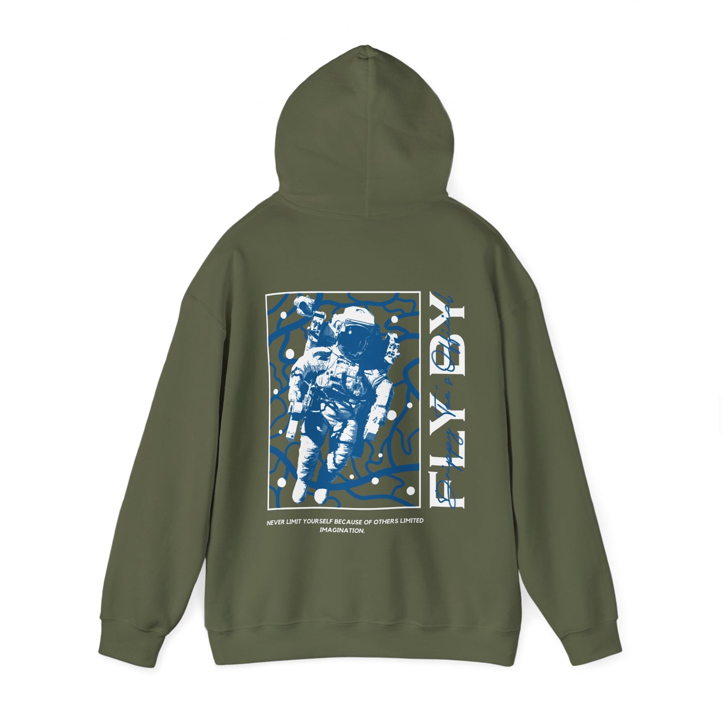 DTO Fly By Astronaut Unisex Heavy Blend™ Hooded Sweatshirt
