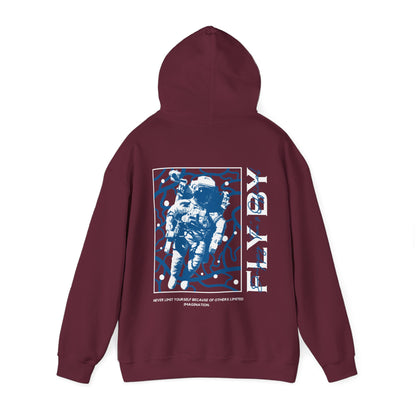DTO Fly By Astronaut Unisex Heavy Blend™ Hooded Sweatshirt