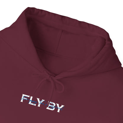 DTO Fly By Astronaut Unisex Heavy Blend™ Hooded Sweatshirt