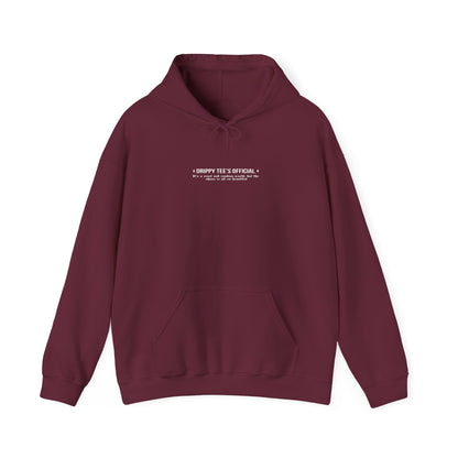 DTO Beautiful Chaos Unisex Heavy Blend™ Hooded Sweatshirt