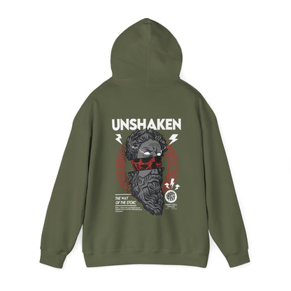 DTO Unshaken Unisex Heavy Blend™ Hooded Sweatshirt