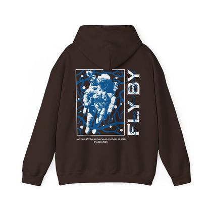 DTO Fly By Astronaut Unisex Heavy Blend™ Hooded Sweatshirt