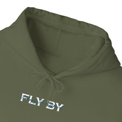 DTO Fly By Astronaut Unisex Heavy Blend™ Hooded Sweatshirt