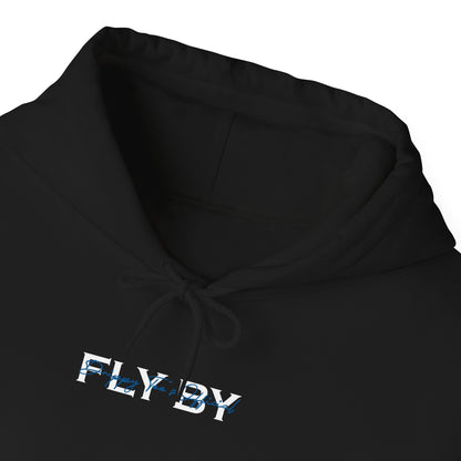DTO Fly By Astronaut Unisex Heavy Blend™ Hooded Sweatshirt