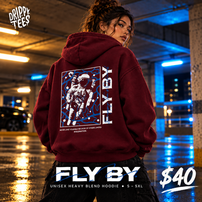 DTO Fly By Astronaut Unisex Heavy Blend™ Hooded Sweatshirt