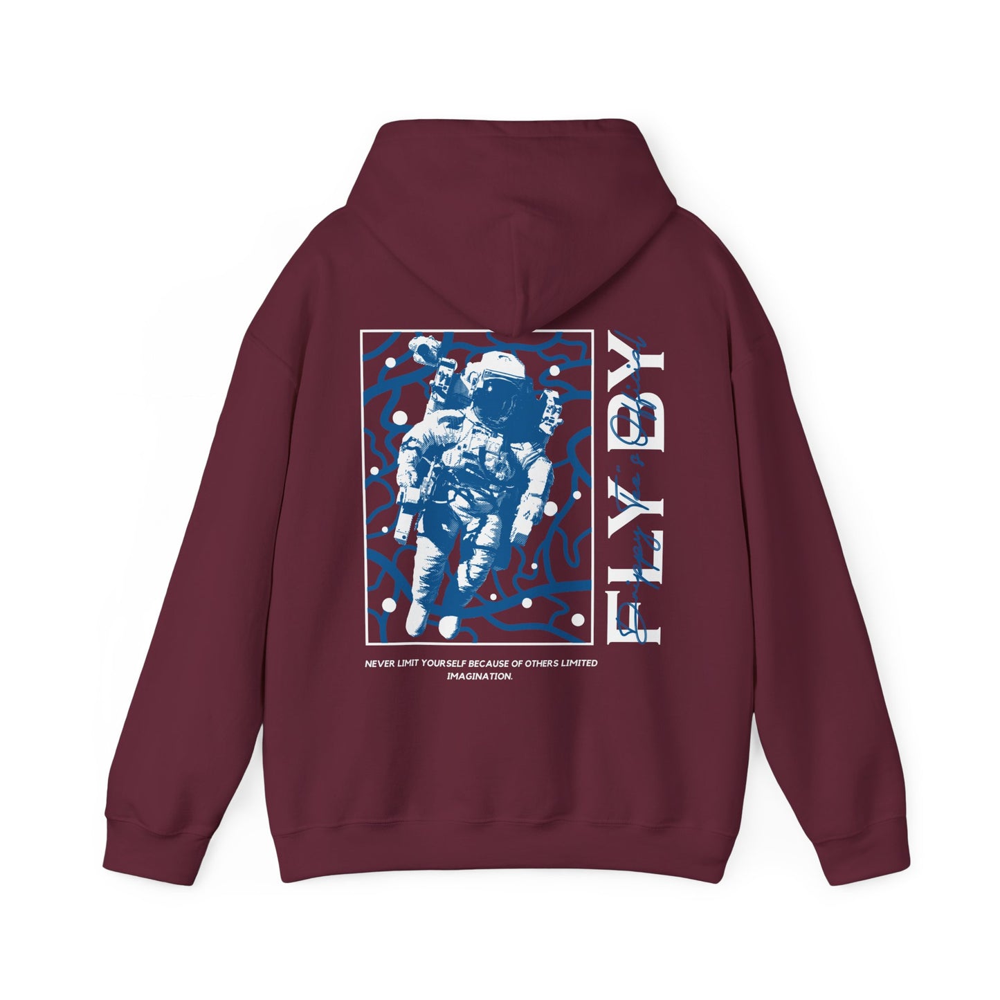 DTO Fly By Astronaut Unisex Heavy Blend™ Hooded Sweatshirt