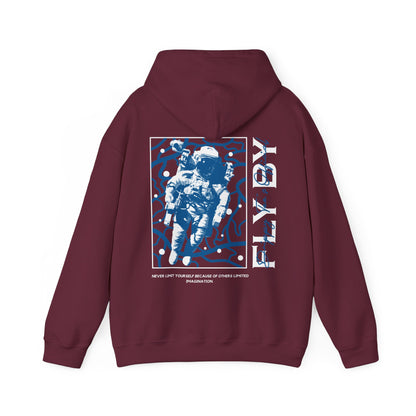 DTO Fly By Astronaut Unisex Heavy Blend™ Hooded Sweatshirt