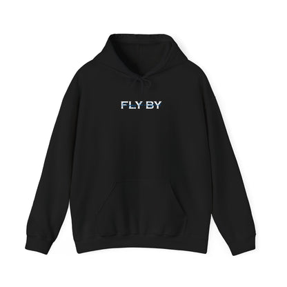 DTO Fly By Astronaut Unisex Heavy Blend™ Hooded Sweatshirt