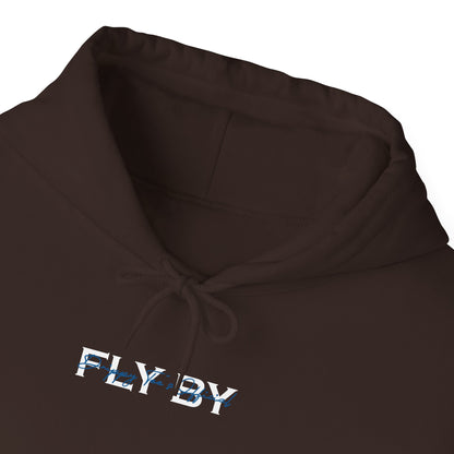 DTO Fly By Astronaut Unisex Heavy Blend™ Hooded Sweatshirt
