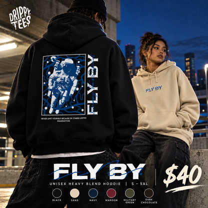 DTO Fly By Astronaut Unisex Heavy Blend™ Hooded Sweatshirt
